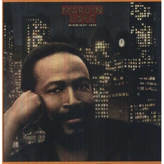 Soulful Moods of Marvin Gaye (Vinyl) 