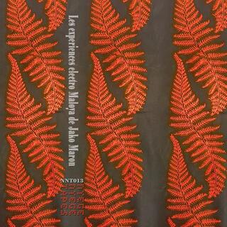 JAKO MARON - The Electro Maloya Experiments Of Jako Maron (2lp-black Vinyl)