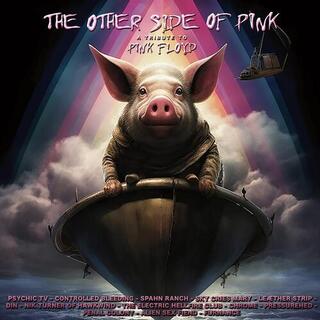 VARIOUS ARTISTS - Other Side Of Pink Floyd / Various