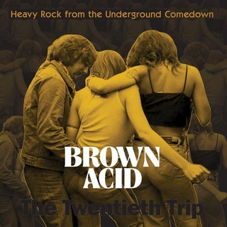 VARIOUS - Brown Acid - The Twentieth Trip