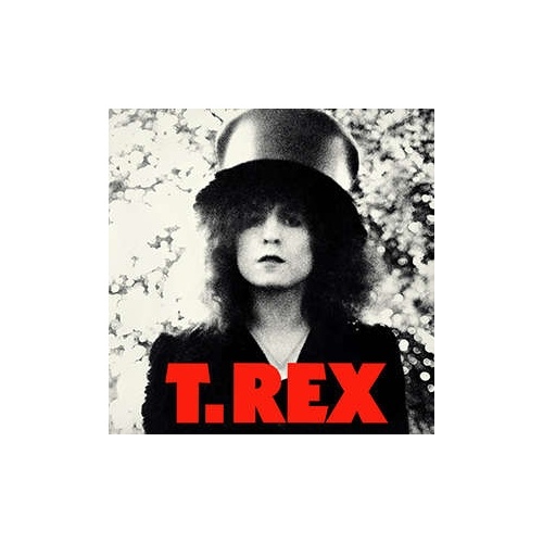 T Rex Slider The Vinyl T Rex